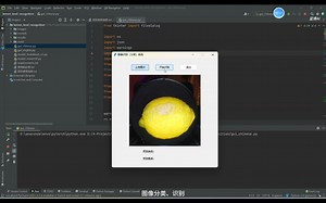 基于卷积神经网络的柠檬品质分级系统，resnet50，alexnet, shufflenet【pytorch框架，python，tkinter】