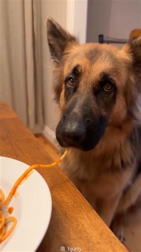 That slurp at the end was priceless 😋