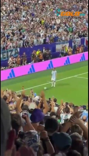 Adeptos argentinos em êxtase com a estupenda exibição de Lionel Messi! #worldcup #football