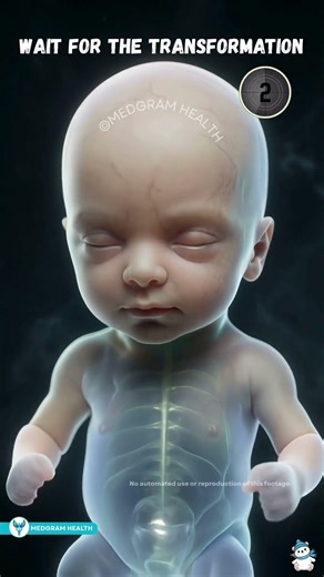 60 Days of Human Face Evolution ⏳ Fetal development week by week