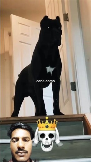 #MeghaLawadiyaInterview #SocialCopyrightByShwetaJaya #SanatanDebate#IndianPolitics#PodcastIndia