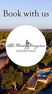 ✨ Life’s finest moments are waiting for you. At The David Livingstone Safari Lodge & Spa, indulge in luxurious spa treatments, savor Afro-Arabian fusion cuisine, and toast unforgettable nights on the Zambezi River. Book your stay and make every moment count. | The David Livingstone Safari Lodge and Spa