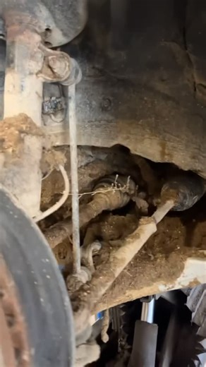 Gunnison Motorsports on Instagram: "Yes that is covered in what you think it is and somewhere under all that cow CRAP is a a/c compressor that’s needing to be replaced…… #gunnisonmotorsports #mechanic #farmers #utah #wefixit (would you like the do this job??)"