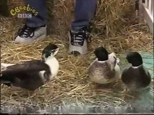 CBeebies continuity - Thursday 26th October 2006 (3)