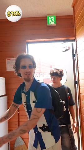 What does a $10,000 cat hotel offer? 🏨