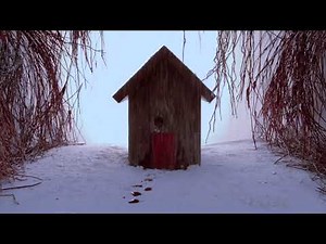 ZAO - Transitions (Official Video)