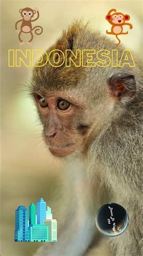 “I templi nascosti di Java 🛕 #Indonesia #Java #Culture”