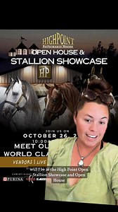332K views · 13K reactions | Highpoint Performance Horses Stallion Showcase! | Katie Van Slyke | Facebook