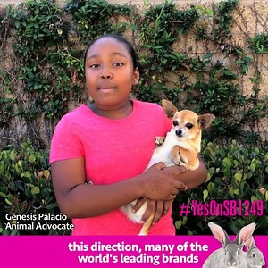 Alicia Silverstone, Moby, Jane Velez-Mitchell, Harley Quinn Smith, and many more are calling for support for a bill in California that could ban animal-tested cosmetics. Visit PCRM.org/Cosmetics to take action now! #YESon1249 | Physicians Committee for Responsible Medicine