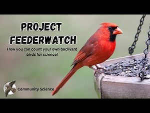 Project Feederwatch