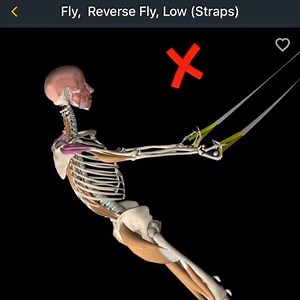 114K views · 196 reactions | Reverse Fly with Straps. Another Free...