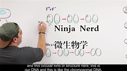 Ninja Nerd《微生物学|Microbiology》中英字幕（deepseek-R1