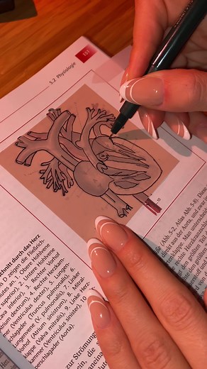 stickynotesshop on TikTok