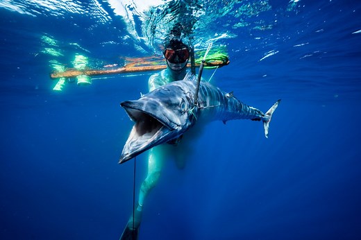 The Ultimate Guide to Spearfishing