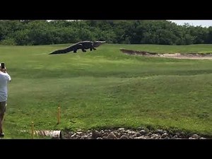 Scp 106 & scp 682 scp containment breach custom made alarm