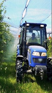 Farmer Driving Tractor and Spraying Apple Orchard Covered With Hail Protection Nets - Slow Motion. Springtime Apple Tree Spraying with a Tractor Mounted Sprayer.