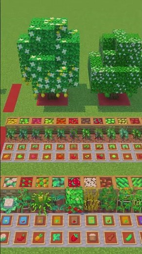 Comparing Crops of Farming and Crops&Farms Add-Ons on Minecraft Marketplace