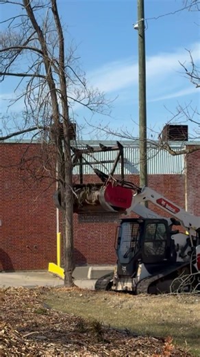 Dangerous Tree Removal #detroit #urbanforestry #neighborhoodsafety #trees