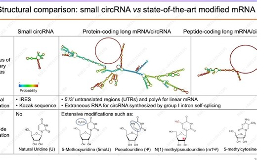 20230711-密歇根大学朱贵志-Engineering and delivery of novel nucleic acid therapeutics an
