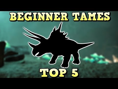 TOP 5 BEGINNER TAMES | ARK SURVIVAL EVOLVED