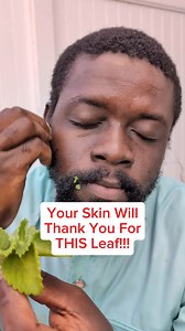 785K views · 3.2K reactions | Day 11, Morning Face Routine #HerbalSkinHealing #skincare #oregano #HerbalRemedies | Javaun Thompson | Facebook