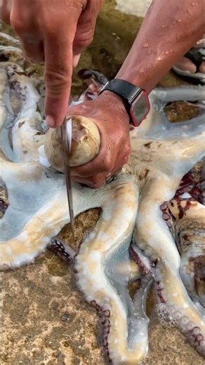 The Secret Technique to Clean an Octopus 🐙