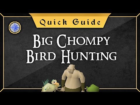 [Quick Guide] The Big chompy Bird Hunting