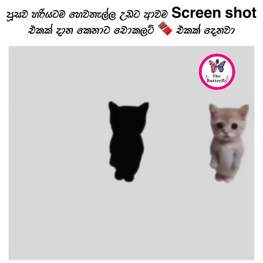 85K views · 1.2K reactions |  | The Butterfly | Facebook