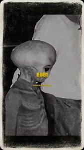 The Alleged Alien Exchange Program 👽 Disclaimer: This video is for informational and entertainment purposes. While we strive for accuracy, some content includes opinions, hypotheses, and interpretations about conspiracy theories and ancient mysteries. These topics are speculative. Please conduct your own research and verify facts from multiple sources. Views expressed are those of the authors and do not reflect any official stance. Credit: emeraldarchives | Inspector Theory