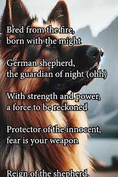 The German Shepherd Dog Song