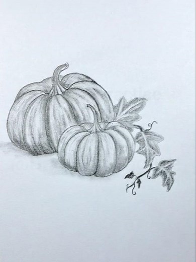 Pumpkin 🎃 pencil drawing process