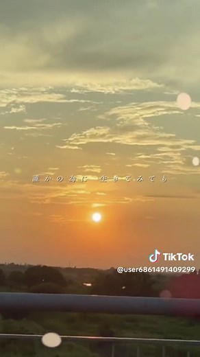 Mr. Children: Tomorrow Never Knows Music Video Insights