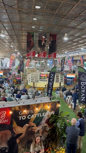 35 reactions | #proudlyboran | The stage for today’s National Auction...