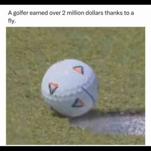 This Golfer Won $2m When A Fly Landed On His Ball