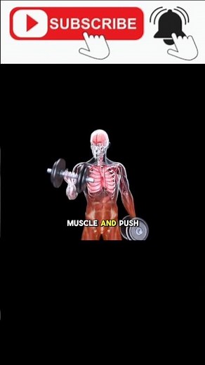 Best Testosterone Boosting Exercises for Men! Boos #facts #balancefitness #mobility