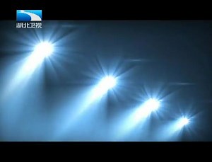 《天下同名人》歌手陈红曝隐退内幕