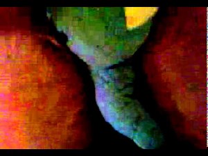 Strong man uses muscular thighs to squeeze, crush and head scissor teddy bear TEASER