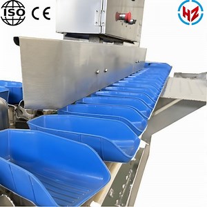 [Hot Item] Advanced Automatic Weight Sorting Machine for Efficient Production