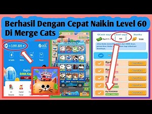 How to Level Up Quickly in Merge Cats