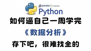 【2025版数据分析】全B站最用心的Python（数据分析）教程，整整300集，7天从入门到项目实战，学完即可做项目，少走99%的弯路，学数据分析看这套就够了！