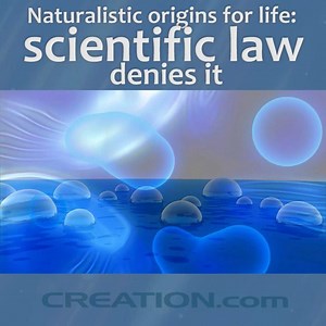 1.2K views · 52 reactions | Research suggests that something outside of natural laws are needed to start life. https://creation.com/media-center ...for more videos from Creation Ministries International. | Creation Ministries International | Facebook