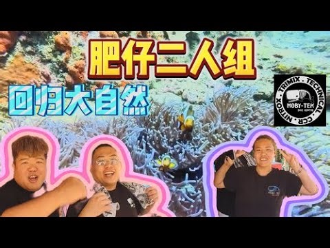 我们终于回到另一个家 ！！| 海岛生活就是爽 ！ [DSY Vlog 11]