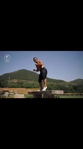 Every morning Shaolin Monks do these exercises and elderly people in the park. The Shaolin Monks do them for power, speed and flexibility. The elderly people do them for longevity. Balance, agility, a body free of pain, this is one of the keys to living young. If you don’t already do these movements you can learn them in my Shaolin Heroes program. | Shifu Yan Lei