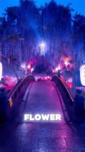 The Most Magical Flower Tunnel on Earth 😳💜 #flowers #nature #facts #japan