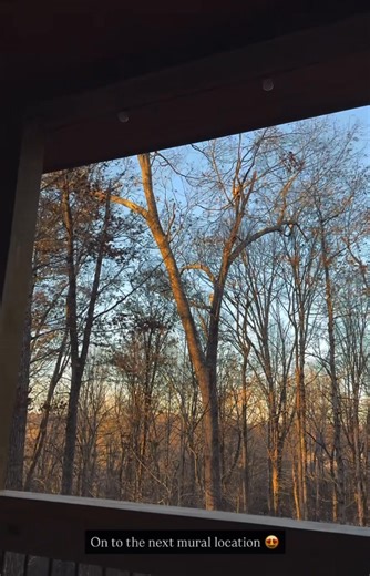 Next mural in the Blue Ridge Mountains 💙 | Erica Arndts