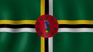 1+ Free Dominica 4K & HD Stock Videos