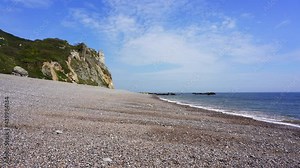 The pebble beach of Branscombe with white chalk cliffs. Part of the UNESCO world heritage site of the Jurassic Coast. Devon, England, UK