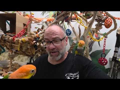 Welcome back to our 3rd recess for this Saturday 😎