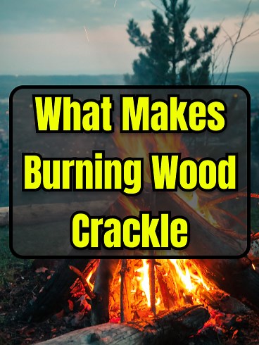 Ever wonder why burning wood crackles? 🔥 As the wood heats up, trapped moisture escapes as steam, creating that satisfying sound. #didyouknow #factsyoudidntknow #learnontiktok #science #wood