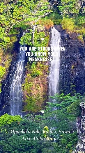 Sending Aloha Always… Opaeka’a Falls Kaua’i “Living in a postcard” … beautiful Kaua’i it’s not just a view.. it’s a feeling inside ✅➡️👍⭐️⭐️⭐️ 🤙🤙🥰 #LivingInAPostcard #AngeleisPhotography #fblifestyle #LiveAlohaKauai #LivingInAPostcard #AlohaEachOther #kauai #LiveAlohaKauai #bucketlist #iphonePhotography #hawaii #Aloha #PhotoOfTheDay #HawaiiPhotography #Angelei #TheGardenIsland #kauailove #kauaiaswhy #kauaistyle #kauaiphoto #kauaiadventures #alohakauai #selenagomez #jasonmomoa #therock #kauaip
